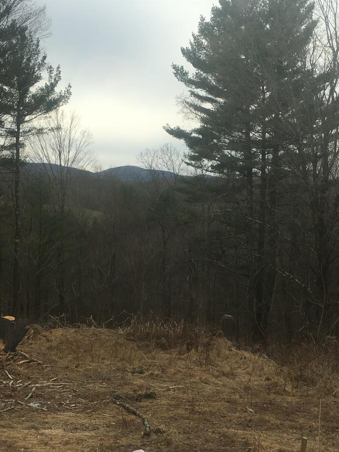 Cozy Cabin In The Catskills East Durham Dış mekan fotoğraf